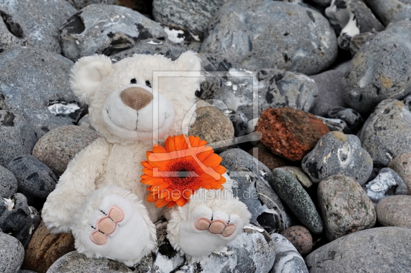 frei wählbarer Bildausschnitt für Ihr Bild auf Schieferplatte