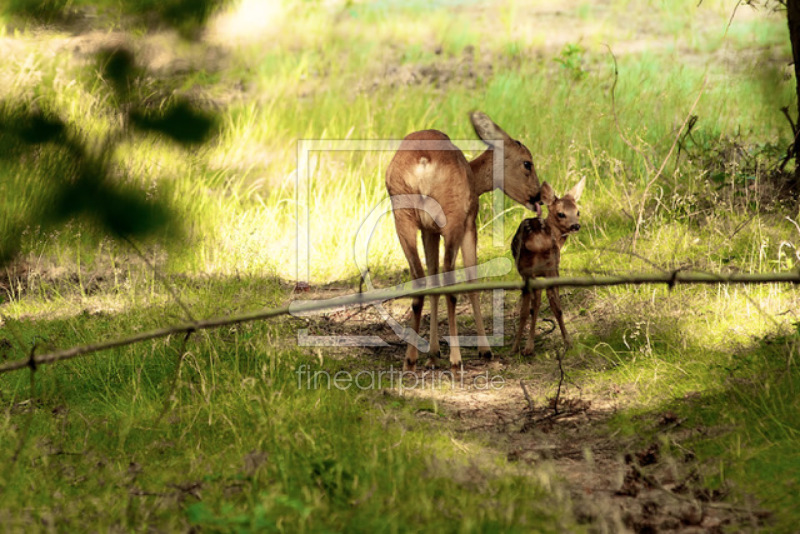 frei wählbarer Bildausschnitt für Ihr Bild auf Schieferplatte