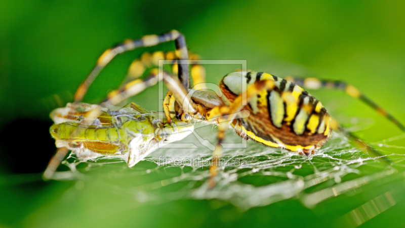 frei wählbarer Bildausschnitt für Ihr Bild auf Schieferplatte