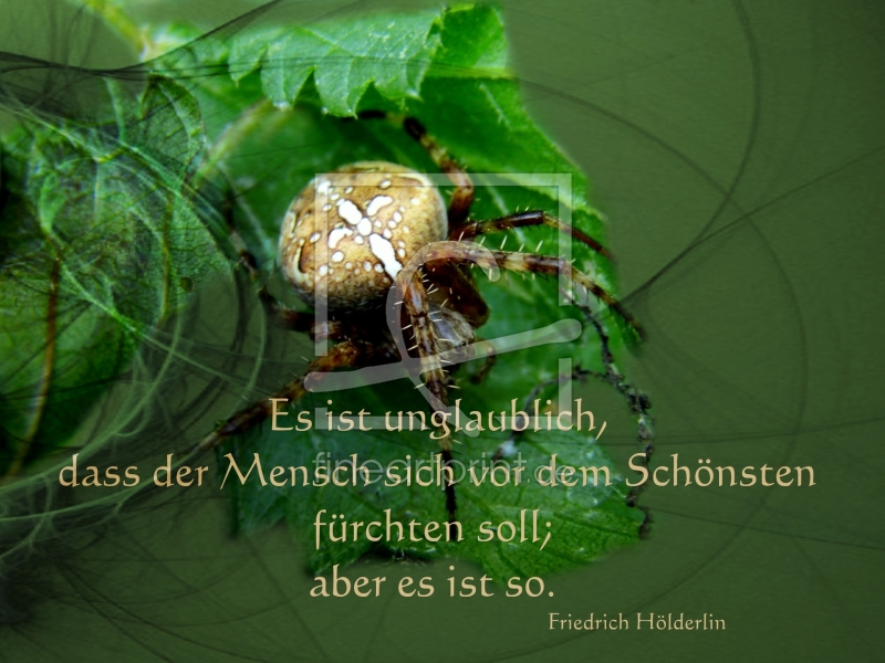frei wählbarer Bildausschnitt für Ihr Bild auf Schieferplatte