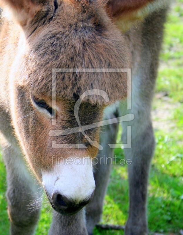 frei wählbarer Bildausschnitt für Ihr Bild auf Schieferplatte