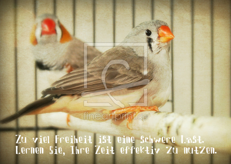 frei wählbarer Bildausschnitt für Ihr Bild auf Schieferplatte