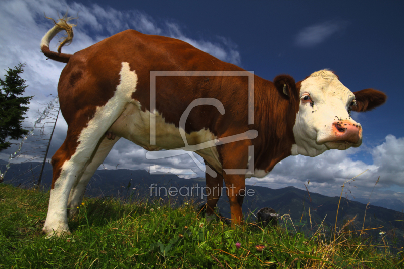 frei w&auml;hlbarer Bildausschnitt f&uuml;r Ihr Bild auf Schieferplatte