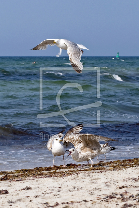 frei wählbarer Bildausschnitt für Ihr Bild auf Schieferplatte