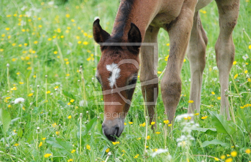 frei wählbarer Bildausschnitt für Ihr Bild auf Schieferplatte