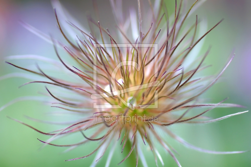 frei w&auml;hlbarer Bildausschnitt f&uuml;r Ihr Bild auf Schieferplatte