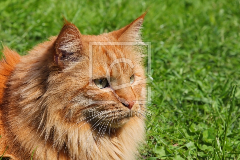 frei w&auml;hlbarer Bildausschnitt f&uuml;r Ihr Bild auf Schieferplatte