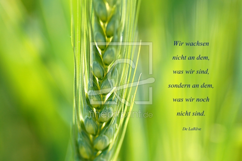 frei w&auml;hlbarer Bildausschnitt f&uuml;r Ihr Bild auf Schieferplatte