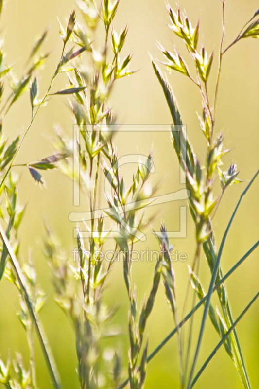 frei wählbarer Bildausschnitt für Ihr Bild auf Schieferplatte