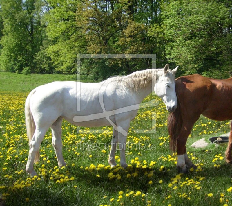 frei wählbarer Bildausschnitt für Ihr Bild auf Schieferplatte