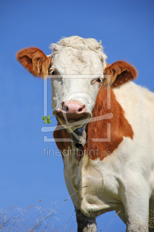 frei wählbarer Bildausschnitt für Ihr Bild auf Schieferplatte