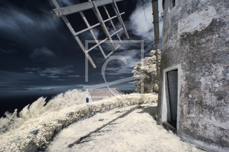 frei wählbarer Bildausschnitt für Ihr Bild auf Schieferplatte