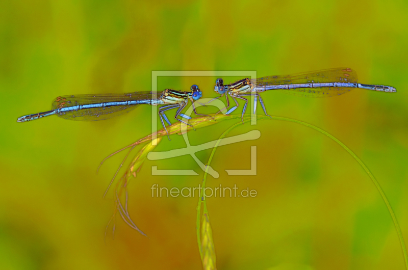 frei wählbarer Bildausschnitt für Ihr Bild auf Schieferplatte