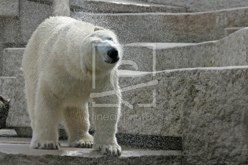 frei wählbarer Bildausschnitt für Ihr Bild auf Schieferplatte