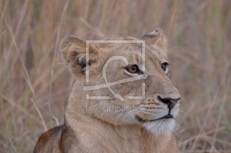 frei w&auml;hlbarer Bildausschnitt f&uuml;r Ihr Bild auf Schieferplatte