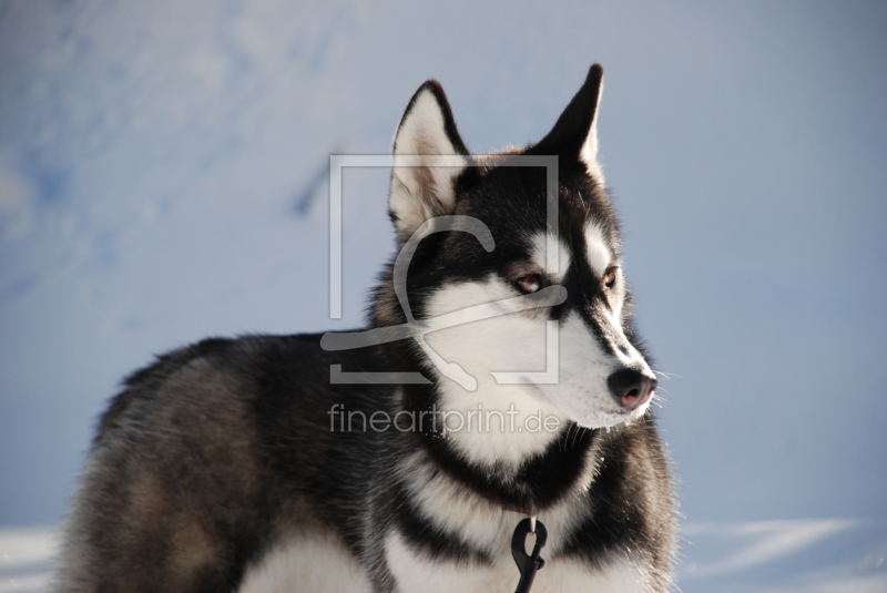 frei wählbarer Bildausschnitt für Ihr Bild auf Schieferplatte