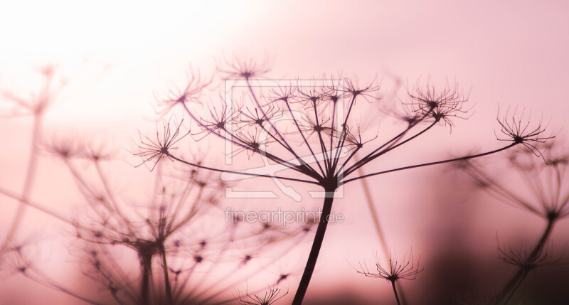 frei w&auml;hlbarer Bildausschnitt f&uuml;r Ihr Bild auf Schieferplatte