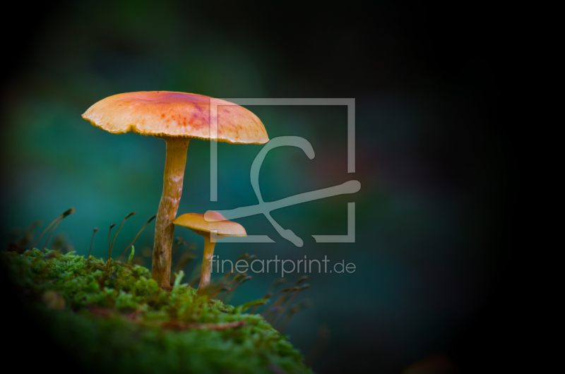 frei wählbarer Bildausschnitt für Ihr Bild auf Schieferplatte