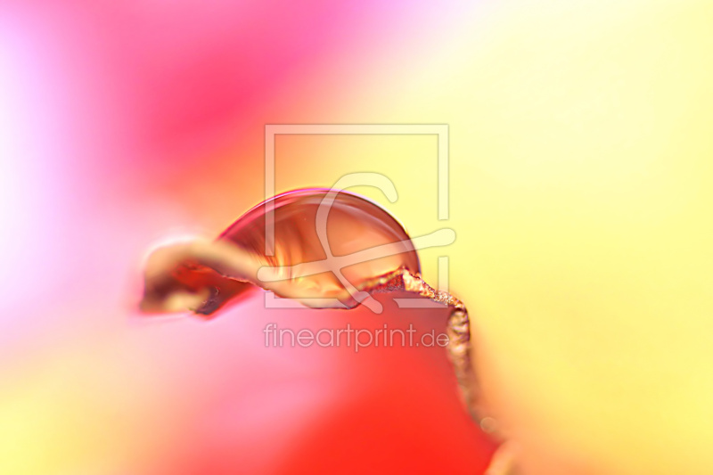 frei w&auml;hlbarer Bildausschnitt f&uuml;r Ihr Bild auf Schieferplatte