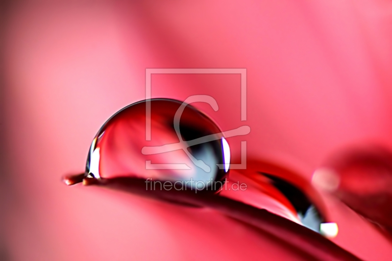 frei wählbarer Bildausschnitt für Ihr Bild auf Schieferplatte