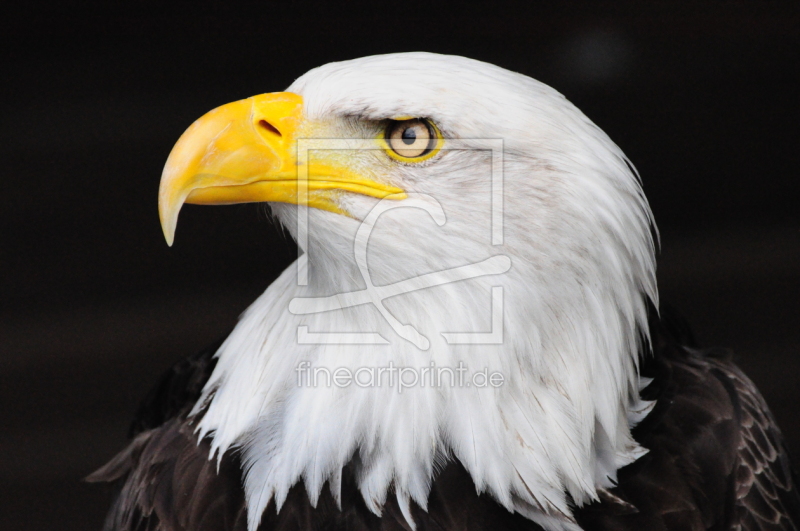 frei wählbarer Bildausschnitt für Ihr Bild auf Schieferplatte