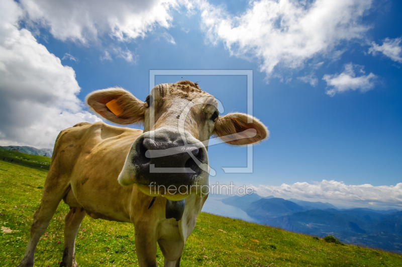 frei wählbarer Bildausschnitt für Ihr Bild auf Schieferplatte