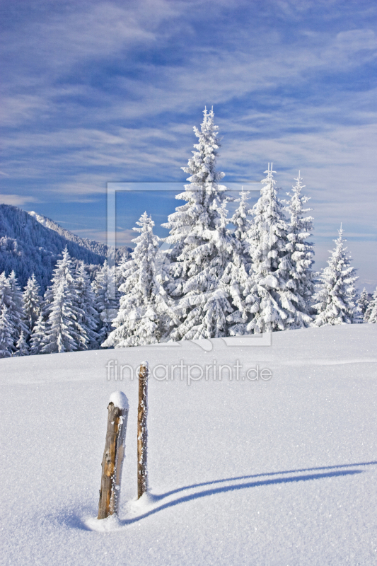 frei wählbarer Bildausschnitt für Ihr Bild auf Schieferplatte