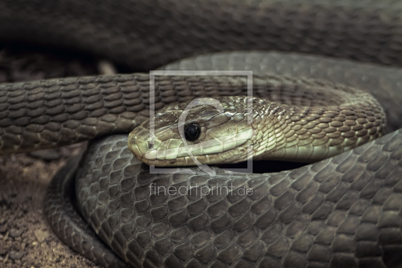 frei w&auml;hlbarer Bildausschnitt f&uuml;r Ihr Bild auf Schieferplatte