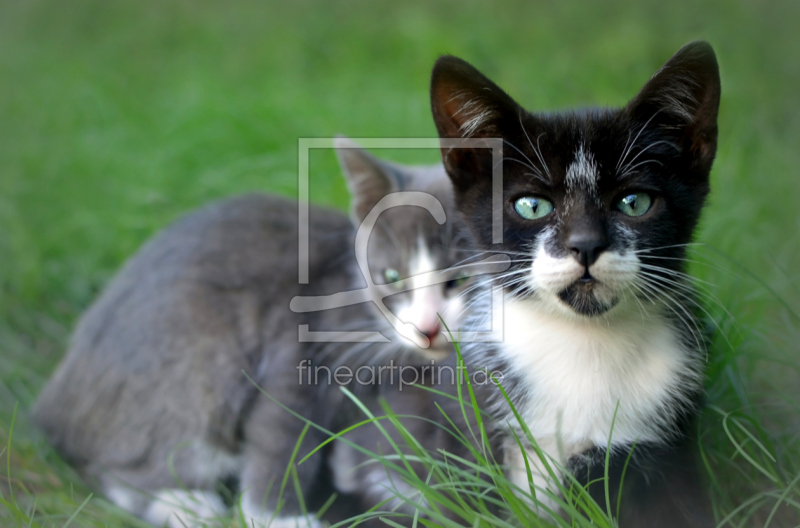 frei w&auml;hlbarer Bildausschnitt f&uuml;r Ihr Bild auf Schieferplatte