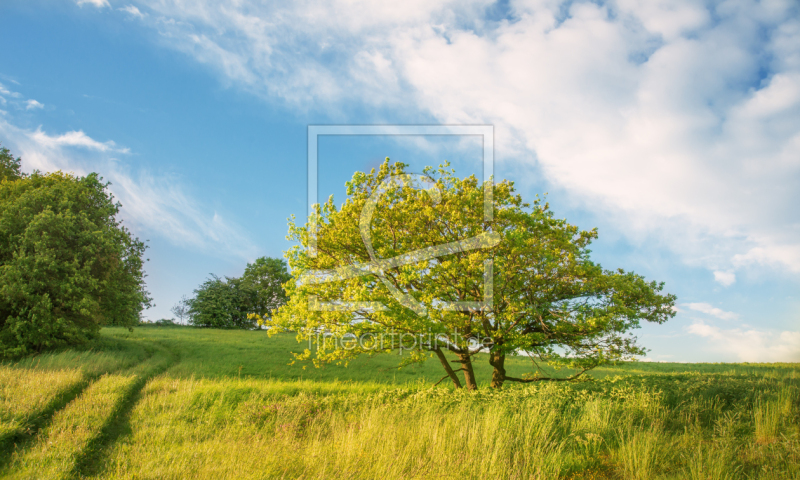 frei wählbarer Bildausschnitt für Ihr Bild auf Schieferplatte