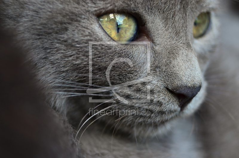 frei w&auml;hlbarer Bildausschnitt f&uuml;r Ihr Bild auf Schieferplatte