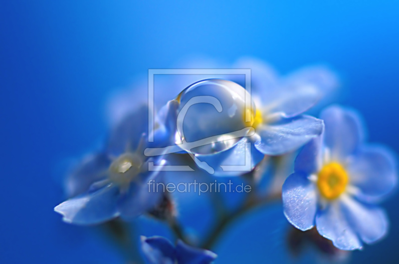 frei w&auml;hlbarer Bildausschnitt f&uuml;r Ihr Bild auf Schieferplatte