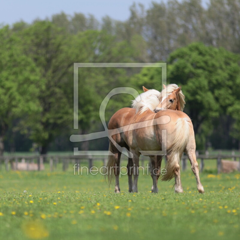 frei wählbarer Bildausschnitt für Ihr Bild auf Schieferplatte