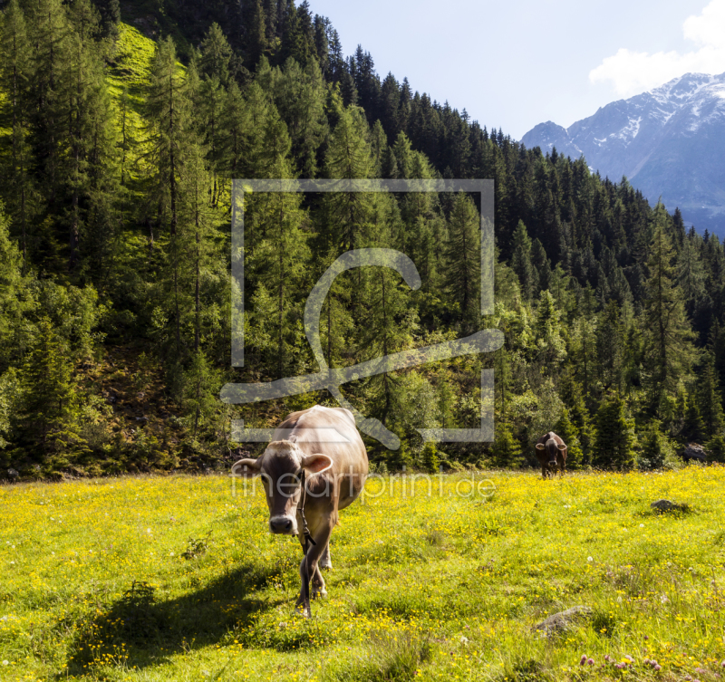 frei wählbarer Bildausschnitt für Ihr Bild auf Schieferplatte