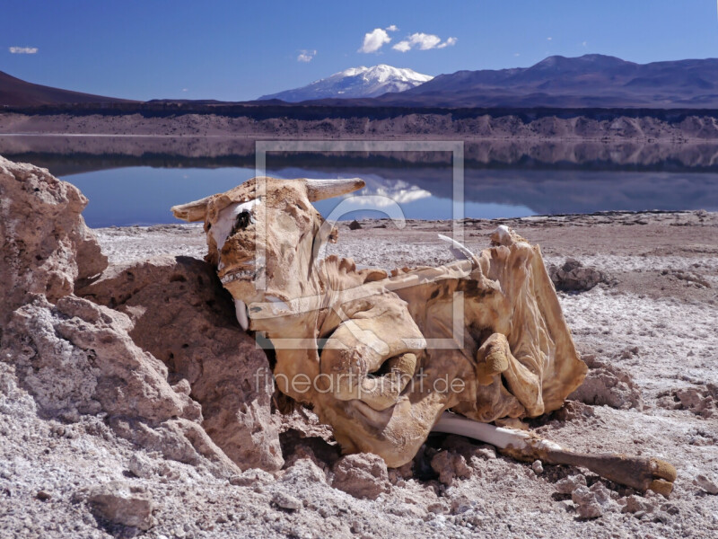frei wählbarer Bildausschnitt für Ihr Bild auf Schieferplatte