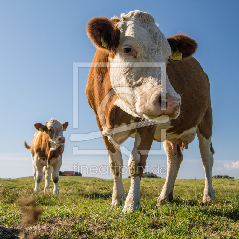 frei wählbarer Bildausschnitt für Ihr Bild auf Schieferplatte