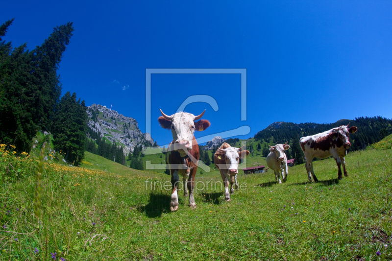 frei w&auml;hlbarer Bildausschnitt f&uuml;r Ihr Bild auf Schieferplatte