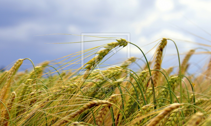 frei wählbarer Bildausschnitt für Ihr Bild auf Schieferplatte