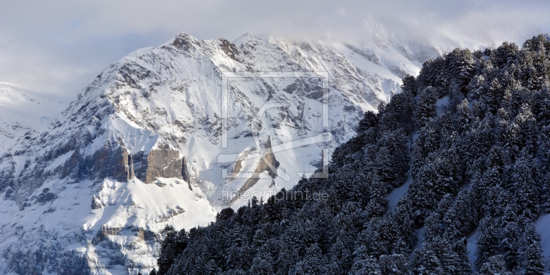 frei wählbarer Bildausschnitt für Ihr Bild auf Schieferplatte