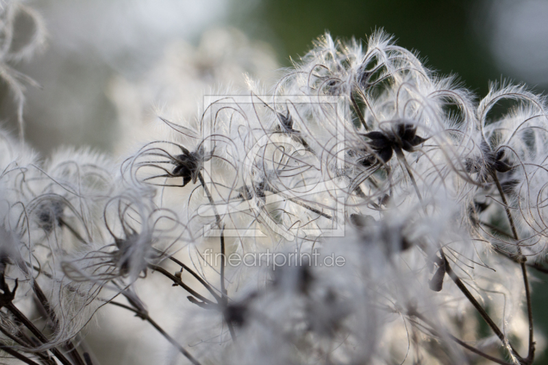 frei w&auml;hlbarer Bildausschnitt f&uuml;r Ihr Bild auf Schieferplatte
