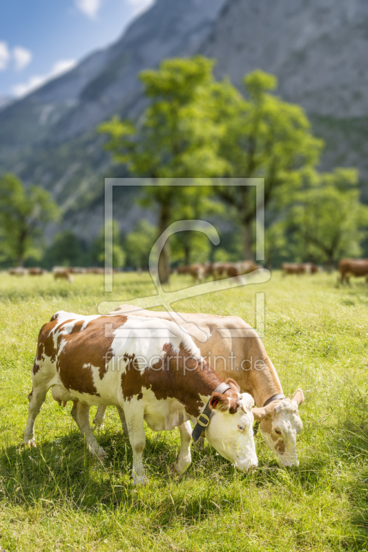 frei wählbarer Bildausschnitt für Ihr Bild auf Schieferplatte