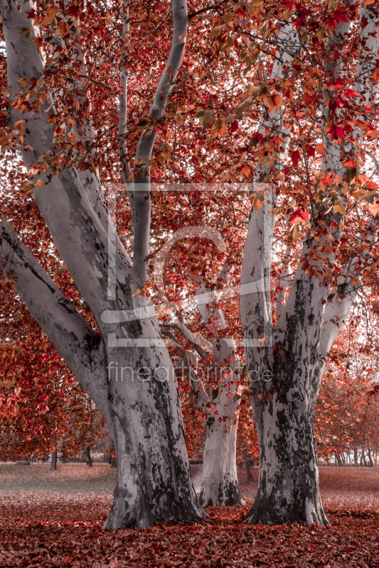 frei w&auml;hlbarer Bildausschnitt f&uuml;r Ihr Bild auf Schieferplatte