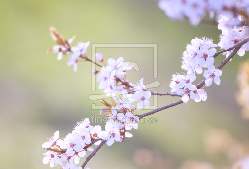 frei wählbarer Bildausschnitt für Ihr Bild auf Schieferplatte