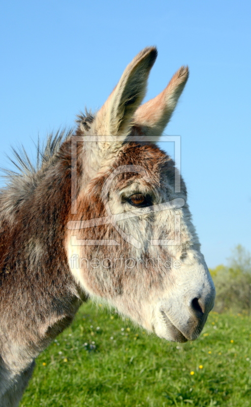 frei wählbarer Bildausschnitt für Ihr Bild auf Schieferplatte