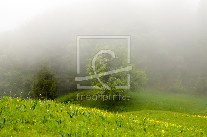 frei wählbarer Bildausschnitt für Ihr Bild auf Schieferplatte