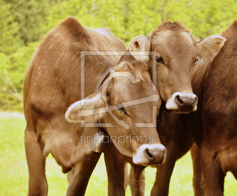 frei wählbarer Bildausschnitt für Ihr Bild auf Schieferplatte