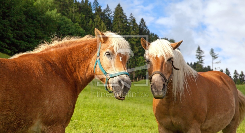 frei wählbarer Bildausschnitt für Ihr Bild auf Schieferplatte