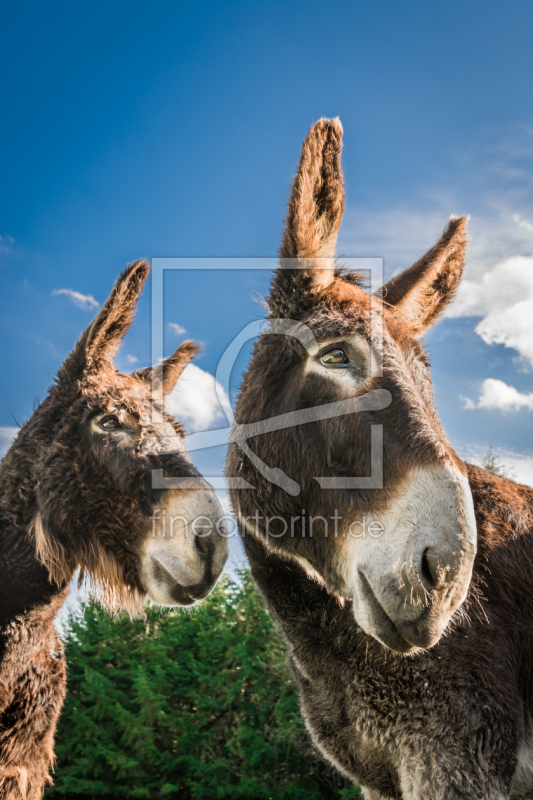 frei wählbarer Bildausschnitt für Ihr Bild auf Schieferplatte