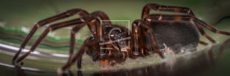 frei w&auml;hlbarer Bildausschnitt f&uuml;r Ihr Bild auf Schieferplatte