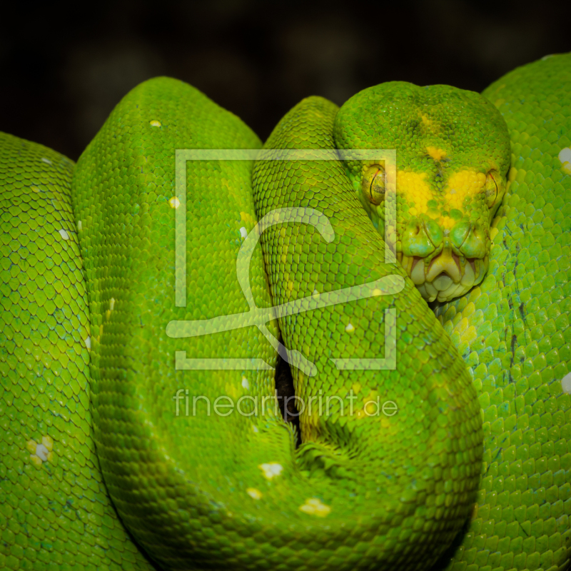 frei w&auml;hlbarer Bildausschnitt f&uuml;r Ihr Bild auf Schieferplatte